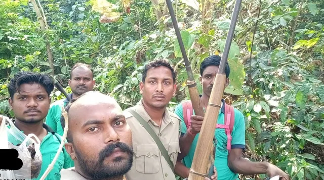 ଶିମିଳିପାଳରେ ବେଧଡ଼କ ଶିକାର: ୫୦ କେଜିରୁ ଅଧିକ କୁଟୁରା, ବାର୍‌ହା ମାଂସ ଓ ୨ ବନ୍ଧୁକ ଜବତ