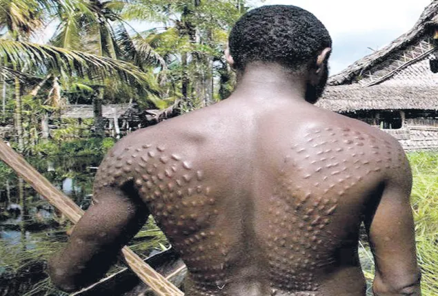 ଆଦିବାସୀମାନଙ୍କ ଚର୍ମଚିରା ପରମ୍ପରା