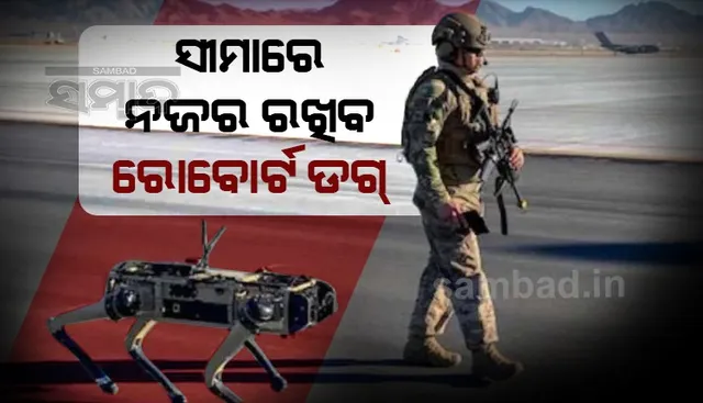 ସେନାର ଯବାନ ନୁହନ୍ତି ଏଣିକି ରୋବୋର୍ଟ ଡଗ ସୀମା ଜଗିବ