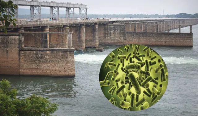 ମହାନଦୀ ପାଣି ବିଷାକ୍ତ