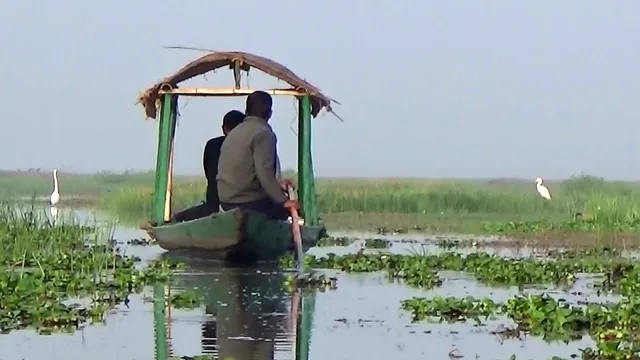 ମଙ୍ଗଳାଯୋଡ଼ିରେ ମଟର ବୋଟ୍ ଚାଲିବା ପ୍ରସଙ୍ଗ: ହାଇକୋର୍ଟରେ ଡିଏଫ୍‌ଓ, ସିଡିଏ ମୁଖ୍ୟ ନିର୍ବାହୀ, ମତ୍ସ୍ୟ ଅଧିକାରୀ ହାଜର