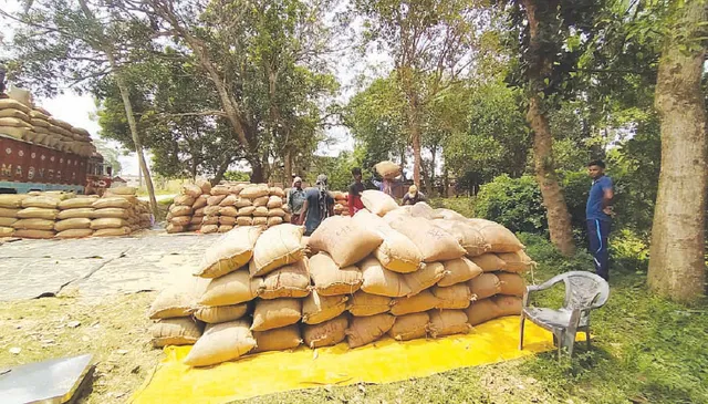 ବଡ଼ ମିଲରଙ୍କ କବ୍‌ଜାରେ ଧାନ ସଂଗ୍ରହ ବ୍ୟବସ୍ଥା: ଚେଇଁ ଶୋଇଛି ଯୋଗାଣ ବିଭାଗ