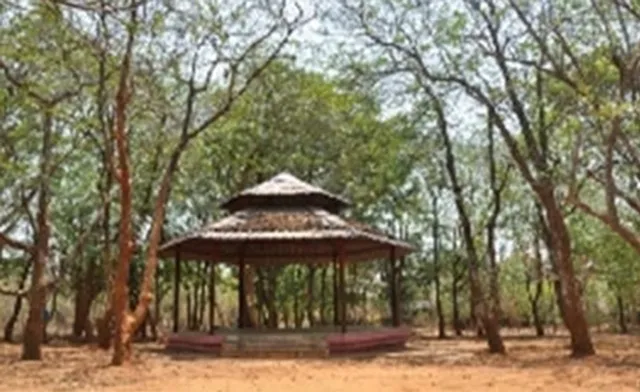 ସ୍ୱାଭାବିକ ସ୍ଥିତିକୁ ଫେରିଲାଣି ଜନଜୀବନ: ବଣଭୋଜିକୁ ଅନୁମତି କେବେ?