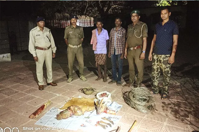 କୁଟୁରା ଶିକାର କରି ଘରେ କାଟୁଥିଲେ, ମାଡ଼ି ବସିଲା ବନ ବିଭାଗ