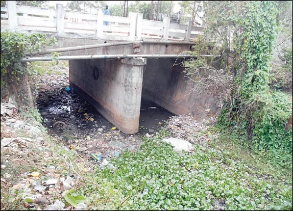 ୱାର୍ଡ ନଂ୫୯: ଦଳ ଅପେକ୍ଷା ପ୍ରାର୍ଥୀଙ୍କ ଦବ୍‌ଦବା ବେଶି