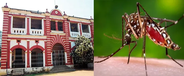 ଡେଂଗୁ ନେଲା ଛାତ୍ରଙ୍କ ଜୀବନ: ମହାନଗର ନିଗମର ନିଦ ଭାଙ୍ଗୁନି