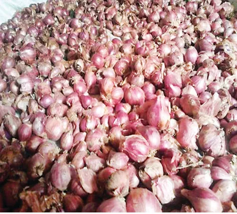 ଦେଶୀ ପିଆଜକୁ ମାରିଦେଲେ ! ଏବେ ବର୍ଷ ତମାମ ସଙ୍କଟ ଆଉ ଦରବୃଦ୍ଧି, ପଖାଳ ସହିତ ଯୋଡ଼ି ଜମାଇପାରୁନି ଉଲି