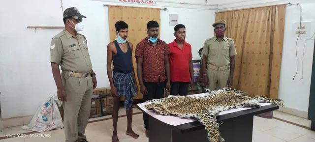 କଲରାପତରିଆ ବାଘଛାଲ ଜବତ: ୩ ଗିରଫ