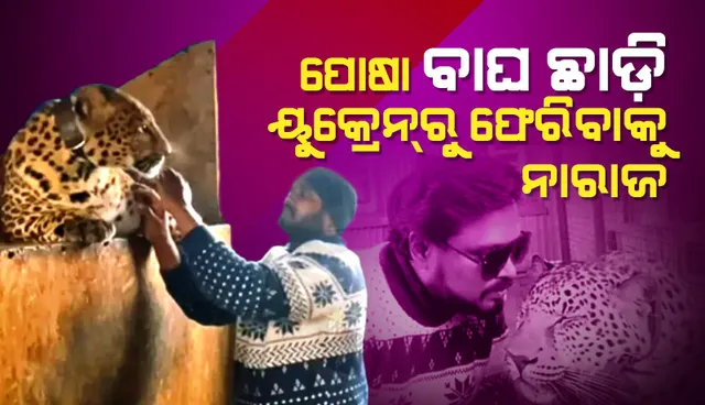 ପୋଷା କଲରାପତ୍ରିଆ ଓ କଳାବାଘ ଛାଡ଼ି ୟୁକ୍ରେନ୍‌ରୁ ସ୍ବଦେଶ ଫେରିବାକୁ ନାରାଜ ଭାରତୀୟ ଡାକ୍ତର