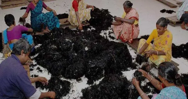 ଭାରତୀୟ ଚୁଟିର ଭାରି ଚାହିଦା, ଚୋରା ଚାଲାଣ ହେଉଛି ଆପଣଙ୍କ କେଶ