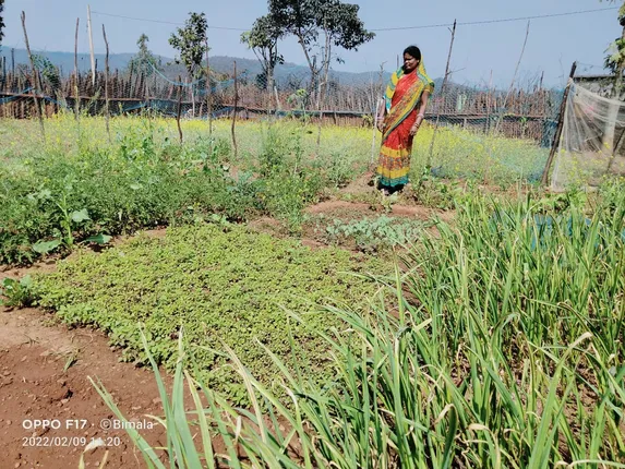 କିଚେନ୍ ଗାର୍ଡେନ ପାଇଁ ୧୫୦ ପରିବାରକୁ ଟାଟା ଷ୍ଟିଲ ଫାଉଣ୍ଡେସନର ସହାୟତା