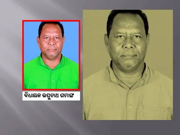 କମୁଛି ବିଧାୟକ ରଘୁନାଥଙ୍କ ପତିଆରା, ପଞ୍ଚାୟତ ନିର୍ବାଚନରେ ଫଳ ନୈରାଶ୍ୟଜନକ