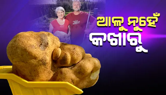 ଆଳୁ ନୁହେଁ ବୋଇତାଳୁ କହି ନିଉଜ୍‌ଲାଣ୍ଡ୍‌ ଦମ୍ପତିଙ୍କ ଆବେଦନ ଖାରଜ କରିଦେଲା ‘ଗିନିଜ୍‌ ୱାଲ୍‌ର୍ଡ ରେକଡସ୍’