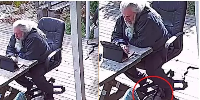 ଚୌକିରେ ବସି କାମ କରୁଥିବା ବେଳେ ସର୍ପ ଦଂଶନରୁ ଅଳ୍ପକେ ବର୍ତ୍ତିଲେ ବୃଦ୍ଧ