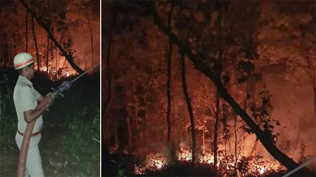 ଖରାଦିନ ଆରମ୍ଭରୁ ଚିନ୍ତା ବଢ଼ାଇଲାଣି ଜଙ୍ଗଲ ନିଆଁ