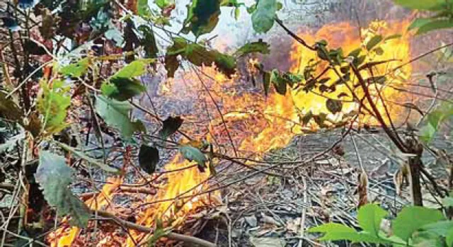 ଜଳୁଛି ଗାନ୍ଧୀ କୈଳାସ ପାହାଡ଼: ଭଞ୍ଜନଗର ସହର ଜନବସତି ପ୍ରତି ବିପଦ ଆଶଙ୍କା