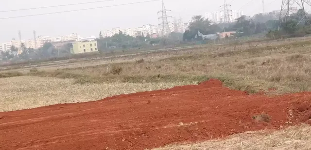 ପ୍ରଭାବଶାଳୀ ଲୋକ କେତେ ଜମି ମାଡ଼ି ବସିଛନ୍ତି ତା’ର ତଥ୍ୟ ନାହିଁ