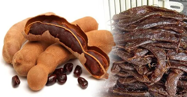 କେଜି ପ୍ରତି ୩୫ ଟଙ୍କାରେ ତେନ୍ତୁଳି କ୍ରୟ ପାଇଁ ନିର୍ଦେଶ, ଜାରି ହେଲା ମାର୍ଗଦର୍ଶିକା