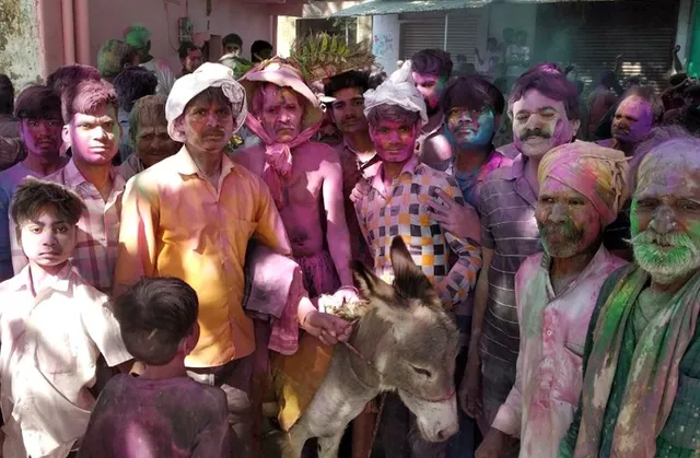 ଆସୁଛି ହୋଲି, ଗଧ ଉପରେ ବସି ବୁଲିବେ ଜ୍ଵାଇଁପୁଅ