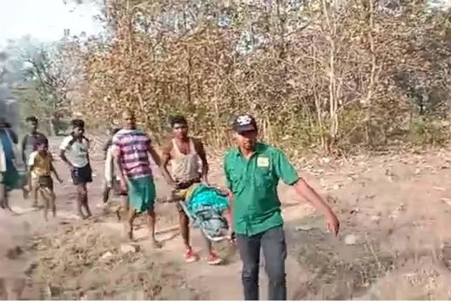 ମହୁଲ ଫୁଲ ଗୋଟାଇବାକୁ ଯାଇଥିବାବେଳେ ଭାଲୁ ଆକ୍ରମଣରେ ମହିଳା ଗୁରୁତର