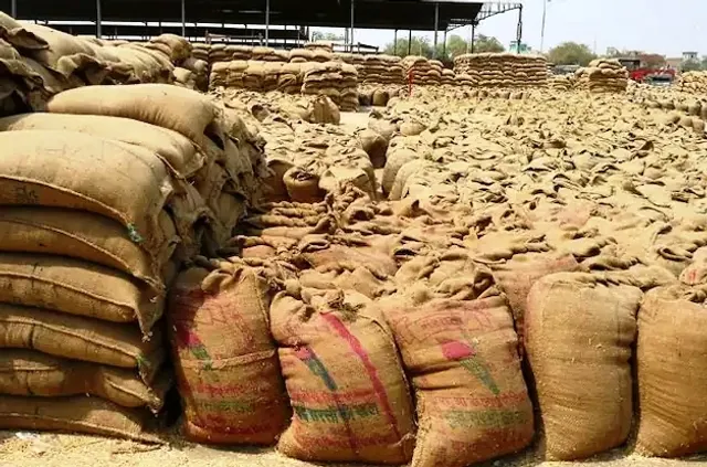 ଘରୋଇ ସଂସ୍ଥା କିଣିନେଲେ ଗହମ, ସରକାରୀ ସଂଗ୍ରହ ୫୩% ହ୍ରାସ