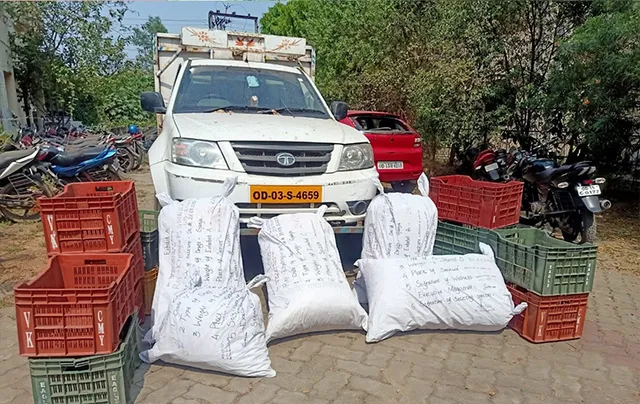 ଭ୍ୟାନ ସହ ୧ କ୍ବିଣ୍ଟାଲ ଗଞ୍ଜେଇ ଜବତ, ଅଭିଯୁକ୍ତ ଫେରାର