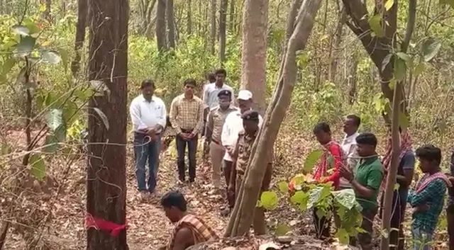 ପୁରୀ ରଥ ନିର୍ମାଣ ପାଇଁ ପଣ୍ଡାଖୋଲ ଜଙ୍ଗଲରୁ କାଠକଟା ଆରମ୍ଭ 