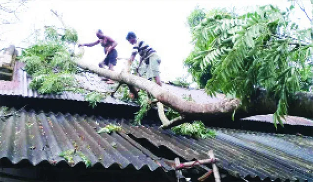 ତାଣ୍ଡବ ରଚିଲା କାଳବୈଶାଖୀ: ଉଡ଼ିଲା ଛପର, ଉଜୁଡ଼ିଲା ଫସଲ