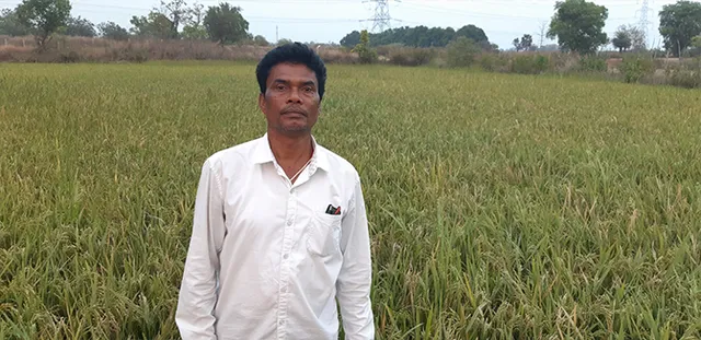 ଧାନ ବିକ୍ରୟ କରିବା ନେଇ ଚିନ୍ତାରେ ଚାଷୀ; ବାଧକ ସାଜିଛି ପ୍ରଶାସନ