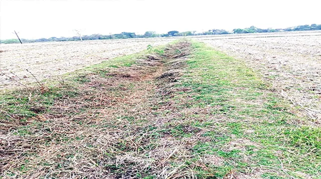 କାଡ଼ାନାଳ ପୁନରୁଦ୍ଧାର ନ ହେଲେ ଆନ୍ଦୋଳନ