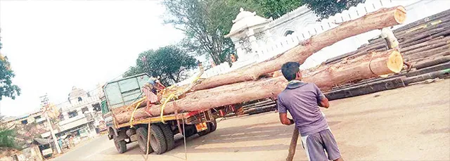 ରଥ ତି‌ଆରି ପାଇଁ ପହଞ୍ଚିଲା କାଠ