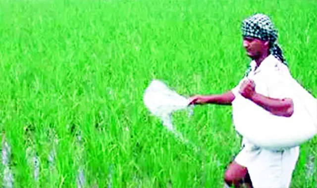 ନକଲି ସାର ପାଇଁ କ୍ଷତିରେ ଚାଷୀ: କାର୍ଯ୍ୟାନୁଷ୍ଠାନ ନାହିଁ