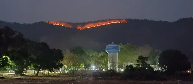 ଜଳୁଛି ପ୍ରଧାନପାଟ ସଂରକ୍ଷିତ ଜଙ୍ଗଲ, ବଢୁଛି ତାତି 