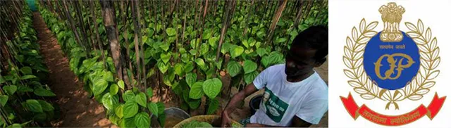 ଢିଙ୍କିଆ: ପୁଲିସର ମାତ୍ରାଧିକ କାର୍ଯ୍ୟାନୁଷ୍ଠାନ, ମେ’ ୧ରୁ ବିକ୍ଷୋଭ