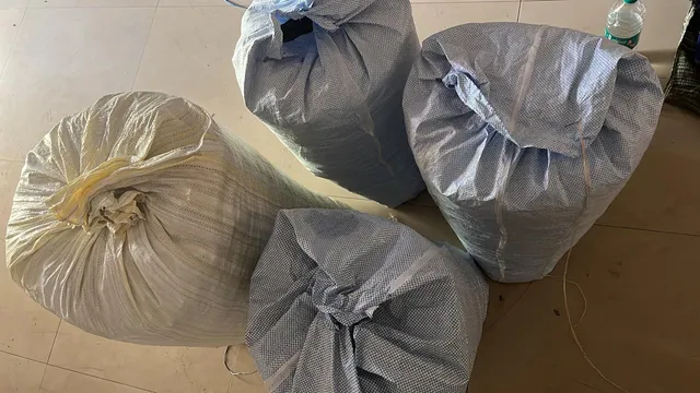 ଏସଟିଏଫ୍ ହାତରେ ଗଞ୍ଜେଇ ଚୋରାଚାଲାଣକାରୀ: କୋଟିଏ ଟଙ୍କାର ଗଞ୍ଜେଇ ଜବତ,୨ ଗିରଫ