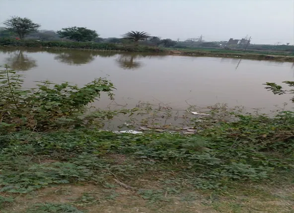 ମୁକ୍ତା ପାଣ୍ଠିରେ ସୁଧୁରିବ କି ଆର୍‌ଏମ୍‌ସି ପୋଖରୀ ?