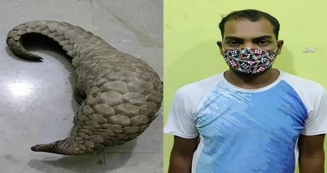 ବଜ୍ରକାପ୍ତା ଡିଲ୍‌ ବେଳେ ମାଡ଼ି ବସିଲା ଏସ୍‌ଟିଏଫ୍‌