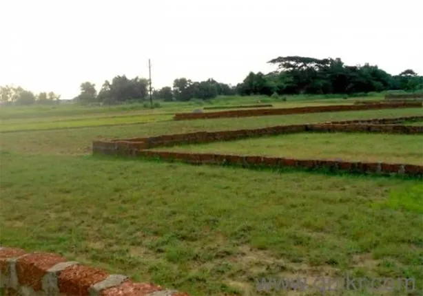 ଜମି ବିକିବା ନାଁରେ ଠକେଇ: ଜାଲ୍ କାଗଜପତ୍ର ଦେଇ ୩୩ଲକ୍ଷ ଚଳୁ