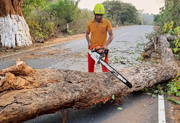 କୋରାପୁଟ: ବୈପାରୀଗୁଡ଼ାରେ ବିଶାଳ ଗଛ ଭାଙ୍ଗିପଡି ୩୨୬ ନମ୍ବର ଜାତୀୟ ରାଜପଥ ଅବରୋଧ।