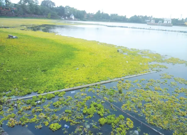 ଆସୁଛି ଚନ୍ଦନଯାତ୍ରା: ଚାପ ଖେଳକୁ ଅଡ଼ୁଆ କରିବ ଦଳ