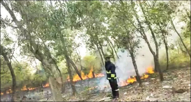 ଗ୍ରାମ୍ୟ ଜଙ୍ଗଲରେ ଅଗ୍ନିକାଣ୍ଡ ନିଆଁ ଲିଭାଇଲା ଅଗ୍ନିଶମ ବାହିନୀ