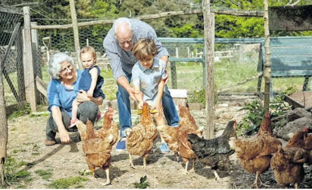 ତୁମ କାହାଣୀ: ଜୀବେ ଦୟା