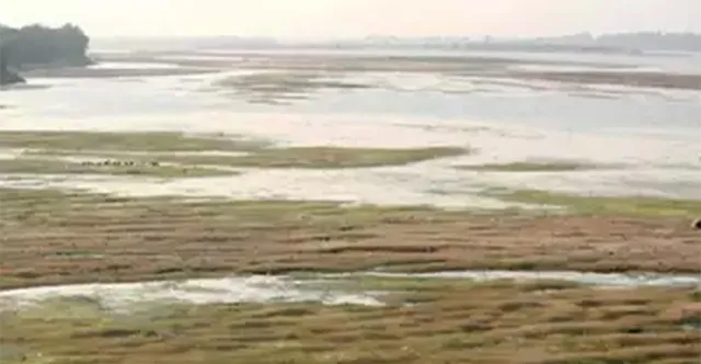 ମହାନଦୀକୁ ନେଇ ଛତିଶଗଡ଼ର ନୂଆ ଚାଲ୍‌:  ପୁନରୁଦ୍ଧାର ଯୋଜନାରେ ୫୭୨ କୋଟି ଖର୍ଚ୍ଚ କରିବ