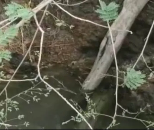 ଖଡ଼ିଆଳରେ ଚାଷୀଙ୍କ ଆତ୍ମହତ୍ୟା, କାରଣ ଅସ୍ପଷ୍ଟ