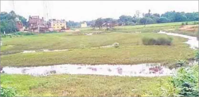 ନଦୀନାଳର ଜିଲ୍ଲା ଜଗତସିଂହପୁରର ସ୍ଥିତି ସଂଗିନ: ମୃତ୍ୟୁ ଅପେକ୍ଷାରେ ୧୦ ନଦୀ