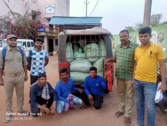 ୪୮୦ କିଲୋଗ୍ରାମ ଭାଙ୍ଗ ଜବତ