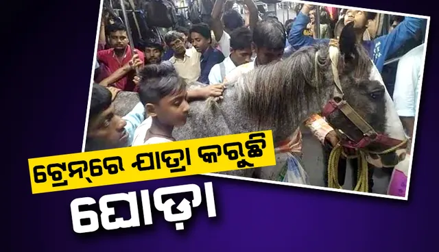 ଟ୍ରେନରେ ଯାତ୍ରୀଙ୍କ ସହିତ ଘୋଡ଼ା ଯାତ୍ରା କରିବାର ଫଟୋ ଦେଖି ରେଳବାଇ ଦେଲା ଏଭଳି ପ୍ରତିକ୍ରିୟା