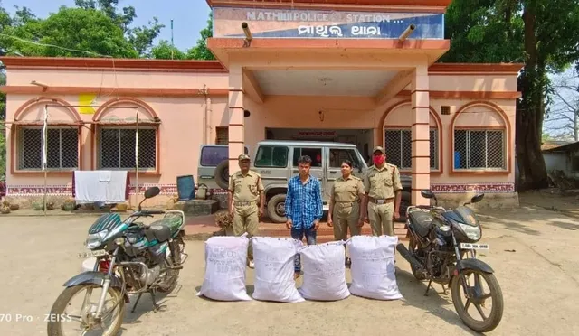 ୧୦୦ କିଲୋ ଗଞ୍ଜେଇ ଜବତ, ଜଣେ ଗିରଫ