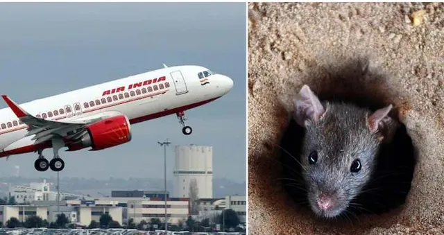 ଗୋଟିଏ ମୂଷା ପାଇଁ ୨ଘଣ୍ଟା ବିଳମ୍ବରେ ଉଡ଼ିଲା ବିମାନ