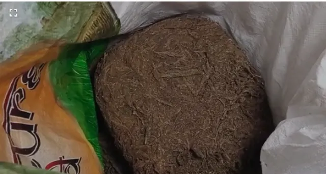 ତିନି କ୍ଵିଣ୍ଟାଲ ଗଞ୍ଜେଇ ଜବତ: ୬ ଗିରଫ